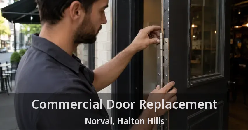 Commercial Door Replacement Norval, Halton Hills - ON
