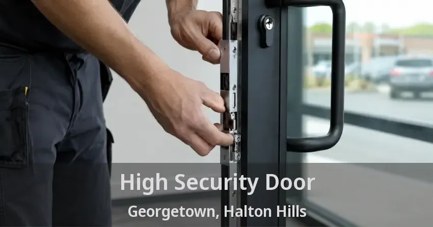 High Security Door Georgetown, Halton Hills - ON