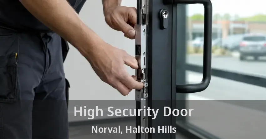 High Security Door Norval, Halton Hills - ON