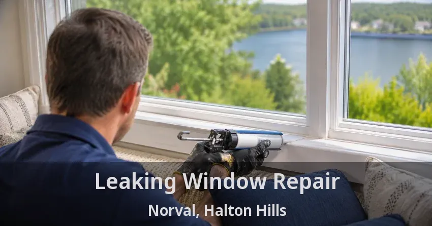 Leaking Window Repair Norval, Halton Hills - ON