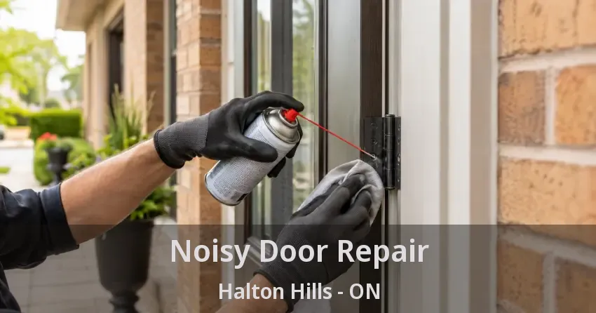Noisy Door Repair Halton Hills - ON